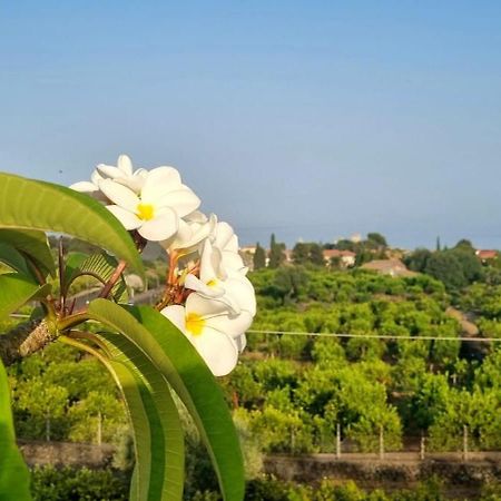 Casa Mariano Villa Acireale Eksteriør billede